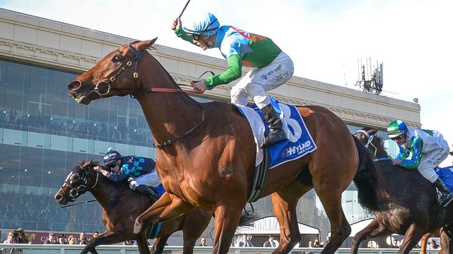 Tuvalu is our tip to win the Railway Stakes on Saturday. Photo: Reg Ryan/Getty Images.