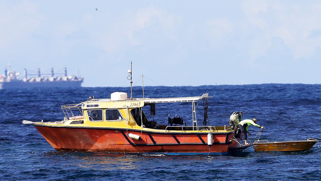 Marine campaigner slams shark nets as ‘archaic’ as government finishes ...