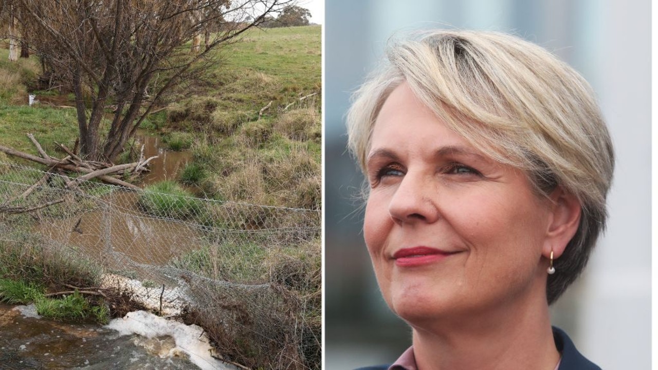 Union launches withering attack on Plibersek over mine ban