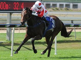 Maurus primed for Ipswich Cup