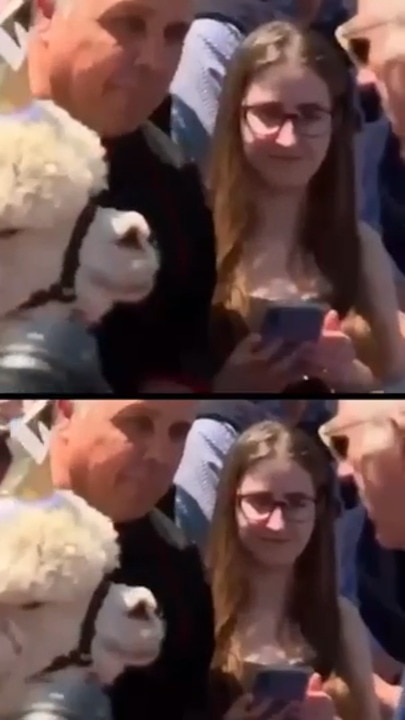 Alpaca sneezes on King Charles during meet and greet