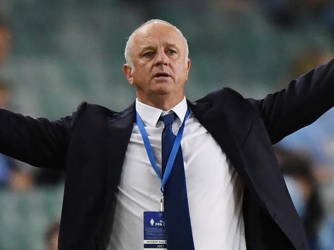 Sydney head coach Graham Arnold gestures during the FFA Cup Final between Sydney FC and Adelaide United at Allianz Stadium in Sydney, Saturday, November 121, 2017. (AAP Image/David Moir) NO ARCHIVING, EDITORIAL USE ONLY