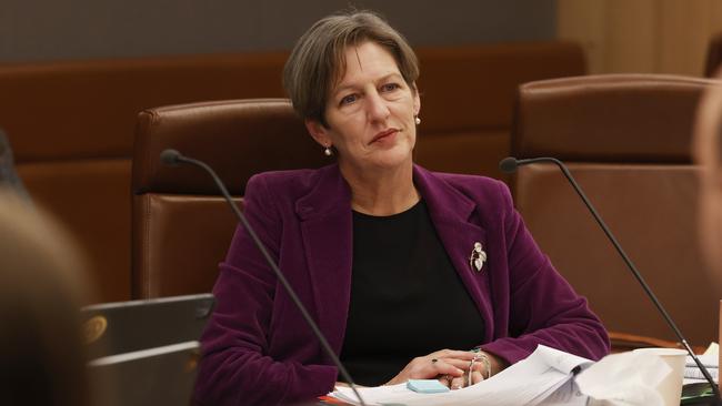 Cassy O'Connor Greens member for Hobart. Picture: Nikki Davis-Jones