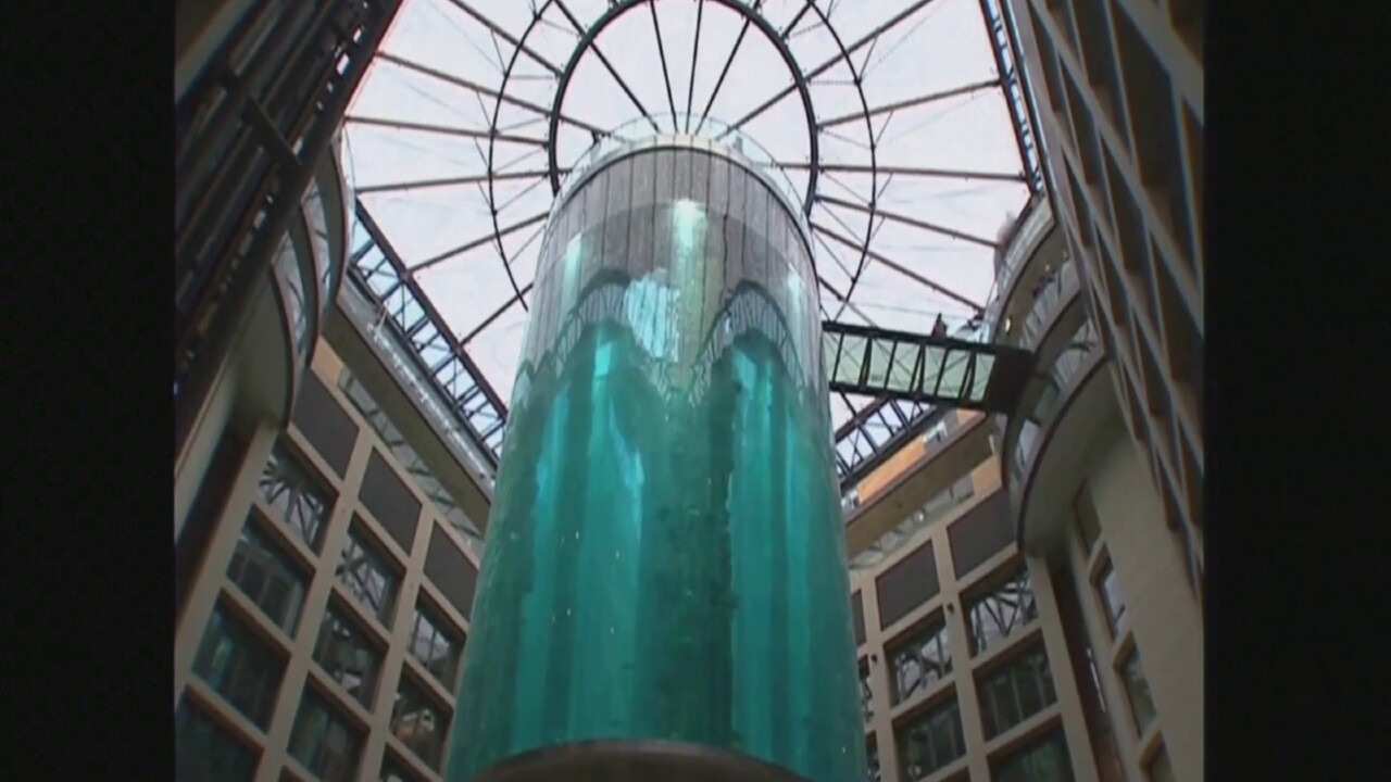 Tourist mega aquarium bursts in Berlin