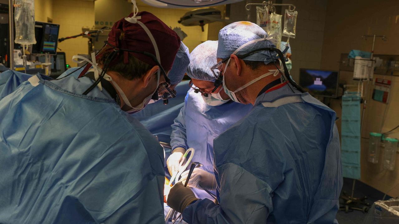 Surgeons perform the world’s first genetically modified pig to live human kidney transplant surgery. Picture: AFP Photo / Massachusetts General Hospital / Michelle Rose