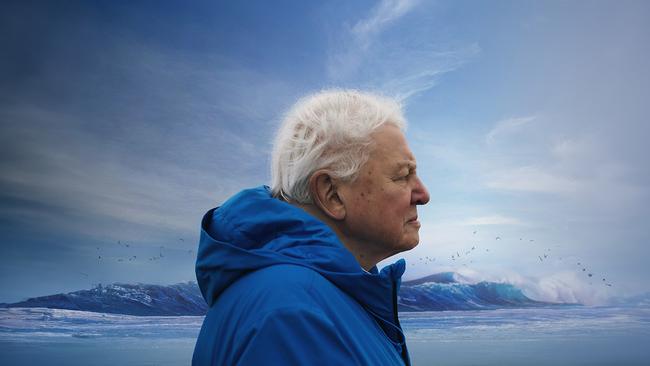 Ocean with David Attenborough in cinemas May 5.