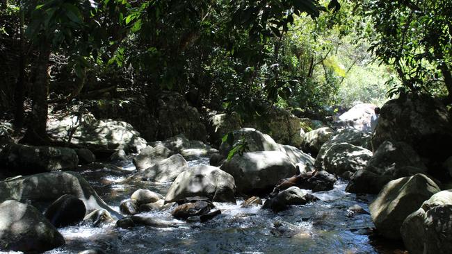 Hidden Valley Cabins, in the Paluma Range, is an off-the grid resort offering World Heritage Rainforest tours and edutourism tours.