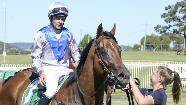 The Peter Robl-trained Hasten Delight looks a good chance first-up. Picture: Bradley Photos