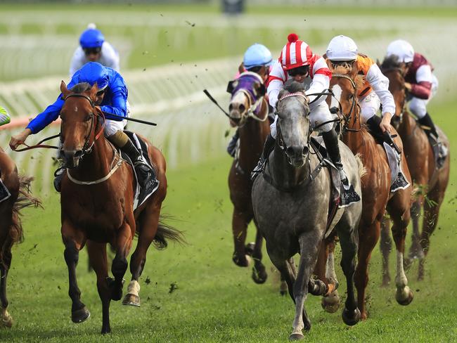 SYDNEY, AUSTRALIA - SEPTEMBER 19: Kerrin McEvoy on Classique Legend wins race 7 the Bowermans Commercial Furniture Shortsduring Sydney Racing at Royal Randwick Racecourse on September 19, 2020 in Sydney, Australia. (Photo by Mark Evans/Getty Images)