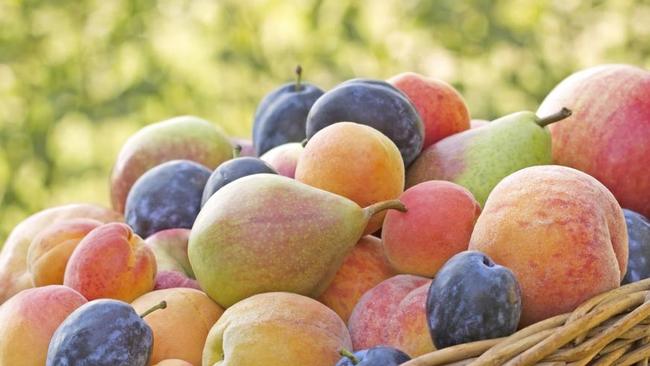 Sample summer fruits at the Central Market.