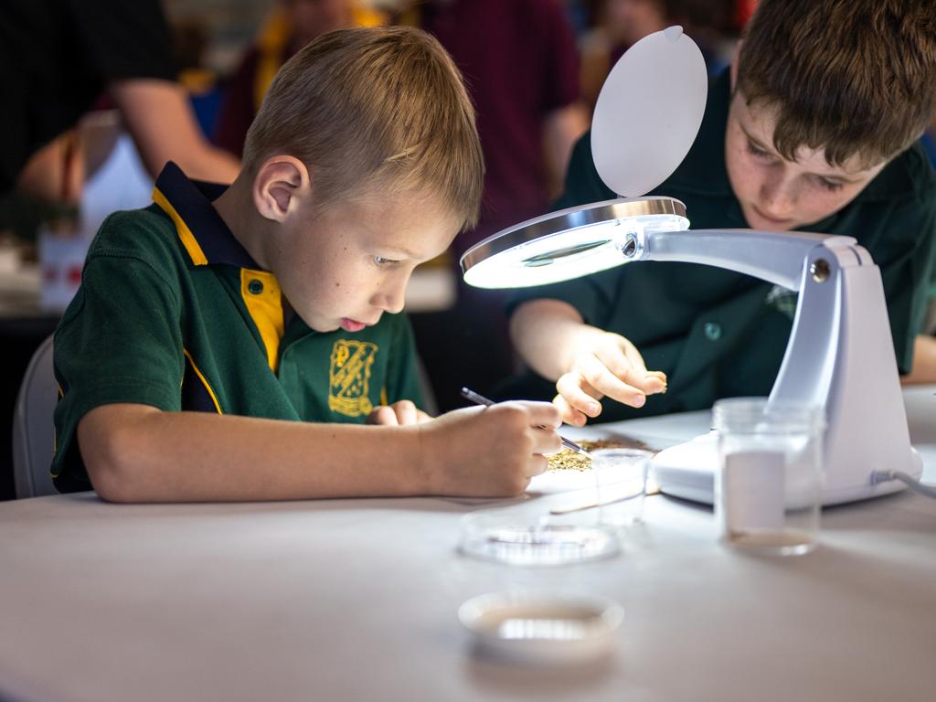 Chinchilla Science fair