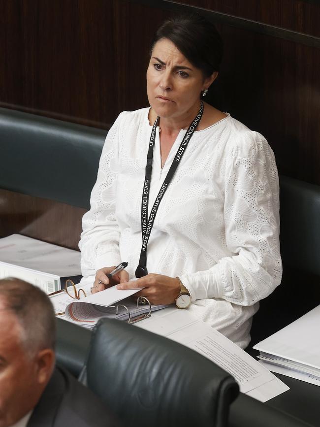 Jo Palmer Liberal member for Rosevears in the Legislative Council. Picture: Nikki Davis-Jones