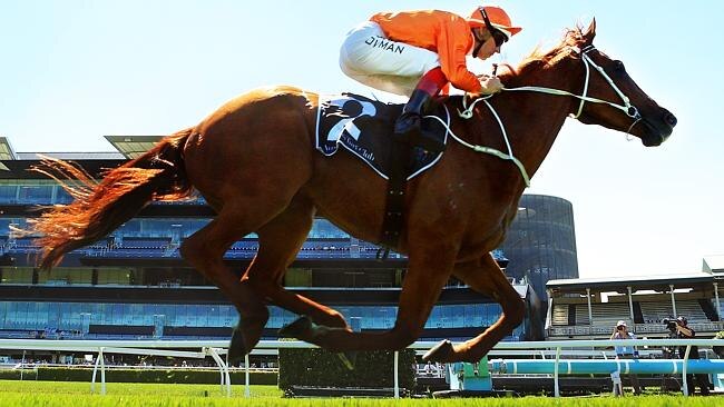 Terravista steps up from a midweek Kensington win to Saturday grade at Royal Randwick. Picture: Mark Evans