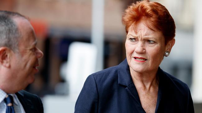 Senator Hanson has been accused of lying under oath. Picture: NCA NewsWire / Nikki Short