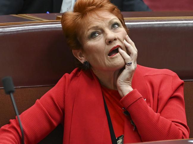 One Nation leader Pauline Hanson told a senator to ‘p**s off back to Pakistan’. Picture: NCA NewsWire / Martin Ollman