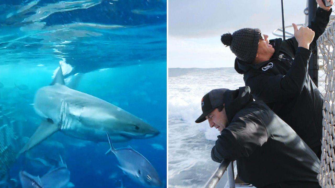 Fletch helps Hindy face his worst fear as they go diving with sharks