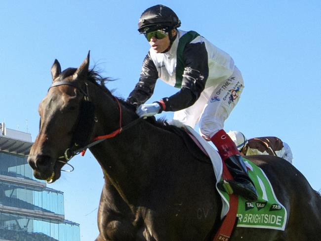 MELBOURNE, AUSTRALIA - MARCH 30: Craig Williams riding Mr Brightside finishing unplaced in Race 8, the Tab Australian Cup, during Melbourne Racing at Flemington Racecourse on March 30, 2024 in Melbourne, Australia. (Photo by Vince Caligiuri/Getty Images)