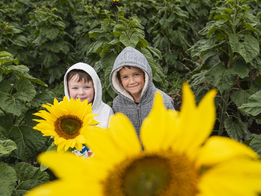 Elijah Milne (left) and Braxton Patterson at Warraba Sunflowers, Saturday, June 22, 2024. Picture: Kevin Farmer