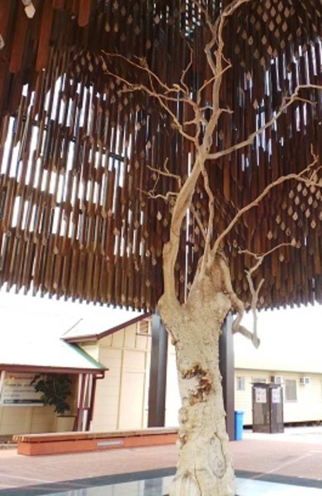 The Tree of Knowledge at Barcaldine.