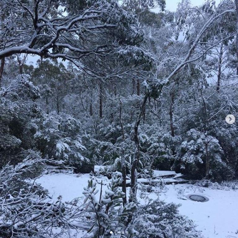 Snow in Cradle Mountain. Picture: @bonneyimages