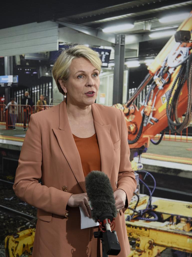 Blayney locals were shocked Federal Environment Minister Tanya Plibersek invoked section 10 of the ATSHIP to halt the project. Picture: Andrew Henshaw