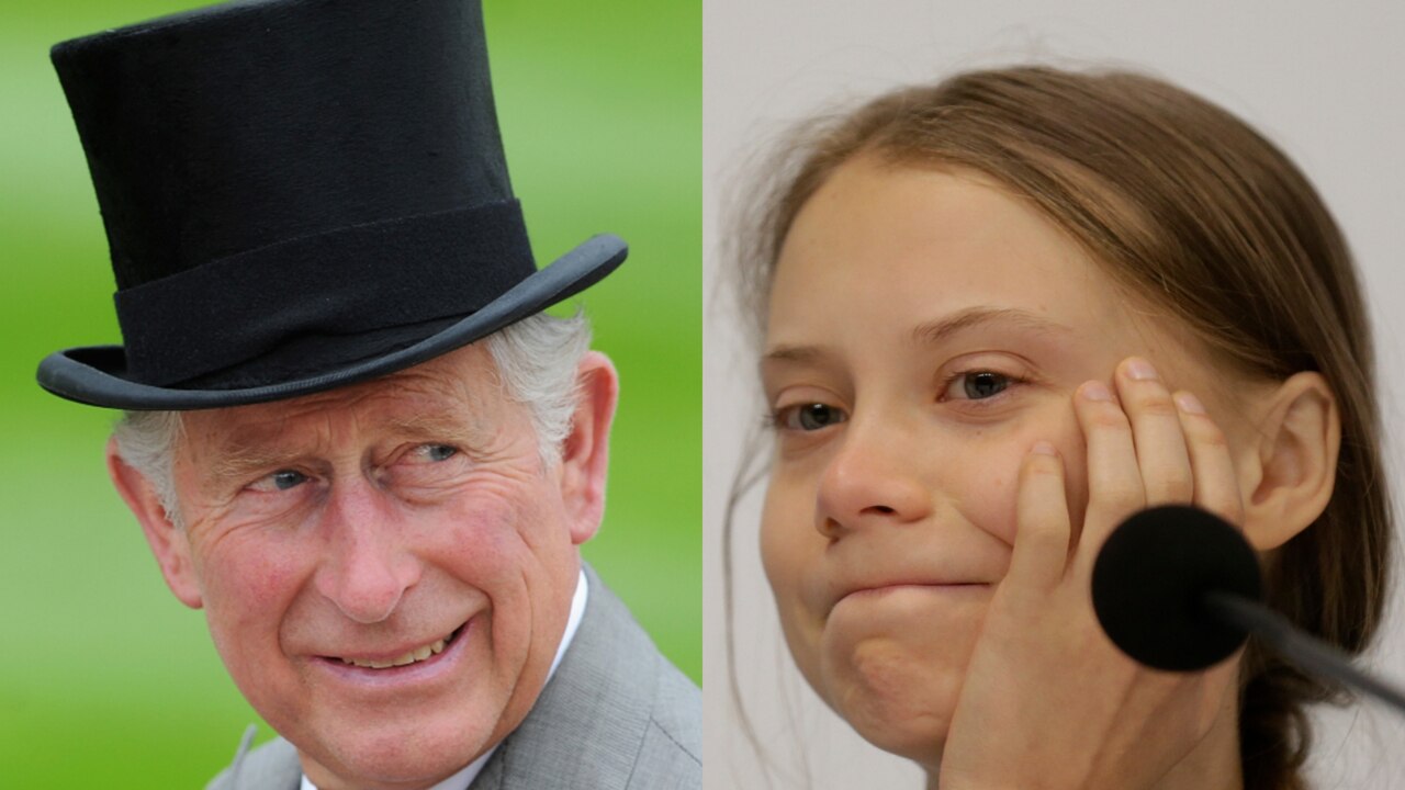 King Charles makes Greta Thunberg look ‘moderate’ on climate change