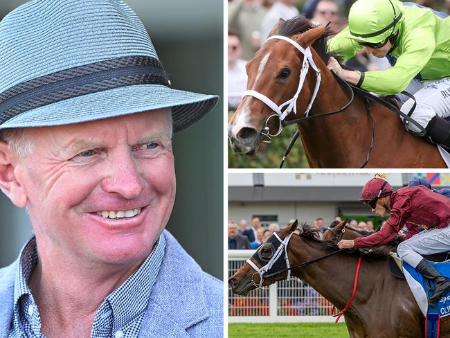 Trainer Phillip Stokes has a strong hand in Saturday's $1 million Group 1 Robert Sangster Stakes with star sprinting mares Stretan Angel (top right) and Climbing Star (bottom right).