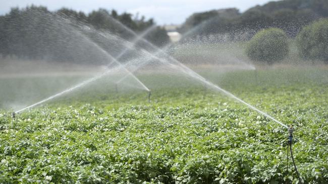 Hampton Irrigators got their water supply back and were awarded court costs.