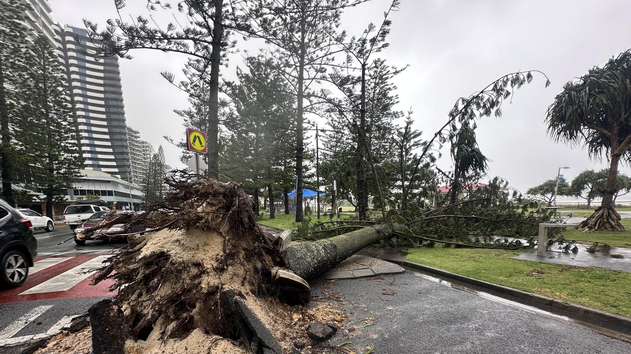 Trees down, 39k without power, as Alfred’s impact grows