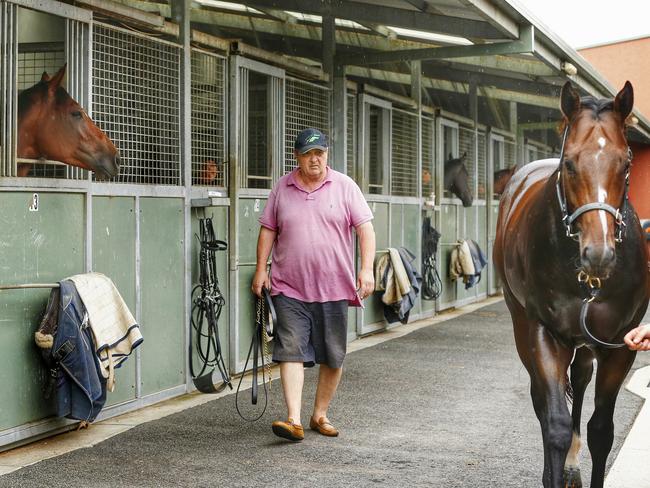 Lee Freedman runs his eyes over a stable runner. Picture: Colleen Petch