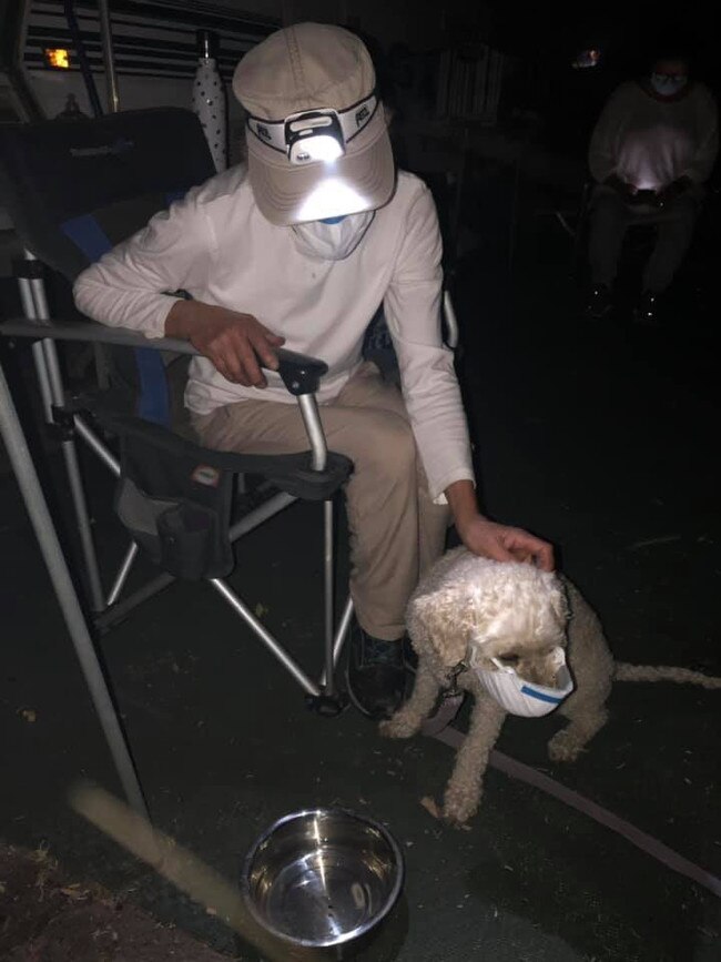 Jann Gilbert and her dog Ollie, who is finally tolerating his mask. Picture: Jann Glibert/Facebook