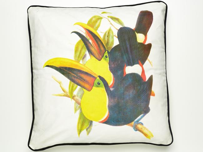 Large Toucan on Canvas.