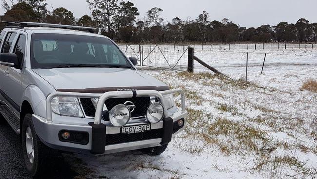 DRIVE SAFE: LiveTraffic advises motorists t take extra care when looking for the white stuff. Photo from Northern Star reader Phil who drove with his dog Tarla from Cawongla to Ben Lomond chasing the snow on June 10, 2021,