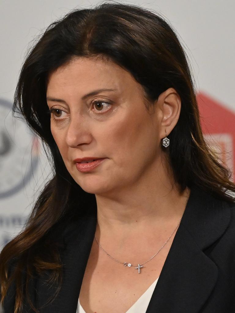 Consumer and Business Affairs Minister Andrea Michaels said she was “deeply concerned” by the allegations against the company. Picture: Keryn Stevens