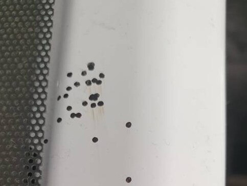 tiny black dots randomy appear on woman's ceiling