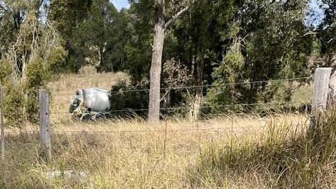 The cement truck rolled for some distance into a paddock and came to rest crushing the driver who was later freed on Wednesday, July 31 on the road between Taree and Wingham.