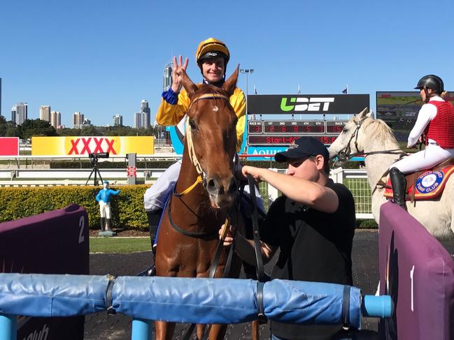 The Bryan and Daniel Guy-trained Robbers Cobber won the Divine Prophet Class 3 Handicap (1800m) at the Gold Coast on Saturday, August 5. Photo: Supplied.