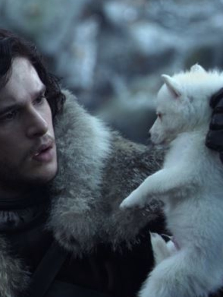 Jon Snow found Ghost as a pup. 