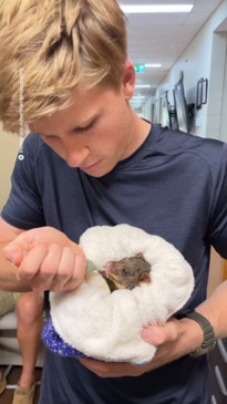 Robert Irwin adorably nurses tiny baby possum