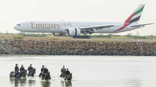 An Emirates plane taxis along the runway of Sydney International Airport as horses and riders are seen swimming at Botany Bay on Wednesday. Picture: Getty Images