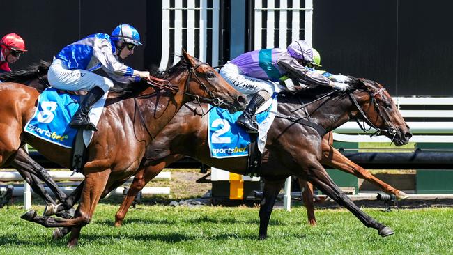 Matisse (blue jacket) surged late to get within half a length of Hayasugi in the Blue Diamond Prelude. Picture: Scott Barbour/Racing Photos via Getty Images