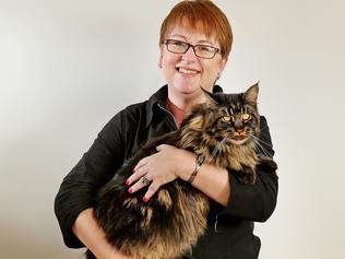 Sydney’s biggest cat: This maine coon weighs 8kg and is 165cm long and ...