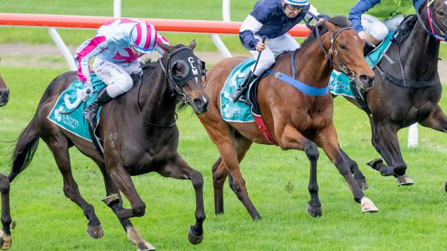 High Emocean (left) heads into the Melbourne Cup off a last start win in the Bendigo Cup. Picture: Getty Images