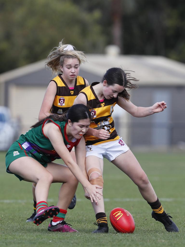 Sandgate Hawks: Sandgate Hawks versus Aspley Hornets in the under 17 ...