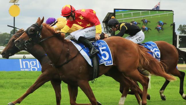 Prime Star snared the biggest win of its career so far in the Inglis Millennium in February. Picture: Getty Images