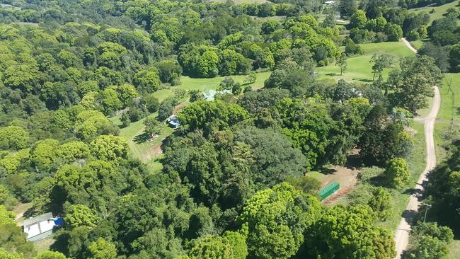 An aerial view of Rockinghorse Studios in 2016. Thousands of camphor laurels have been removed since then.