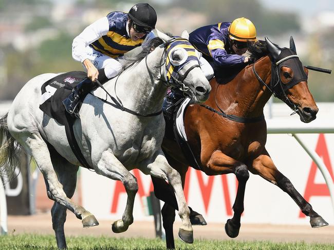 Grey Lion and Vengeur Masque fight out the Queen Elizabeth Stakes. Picture: Getty Images