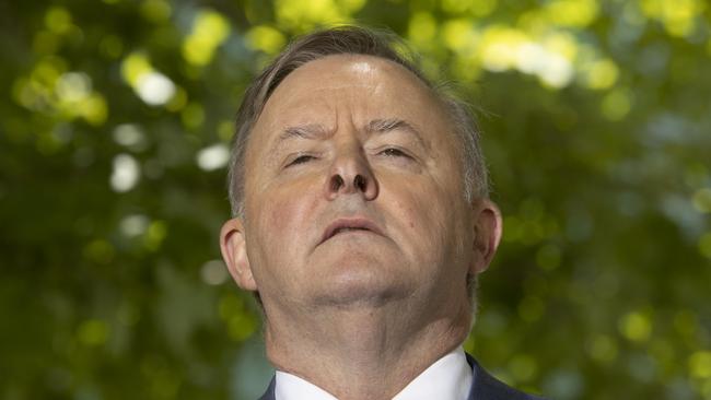 Opposition Leader Anthony Albanese. Picture: Gary Ramage
