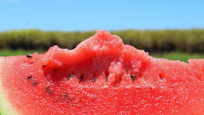 LESSON LEARNT: An embarrassing watermelon incident proves why children should listen to their mothers. Picture: Emily Smith