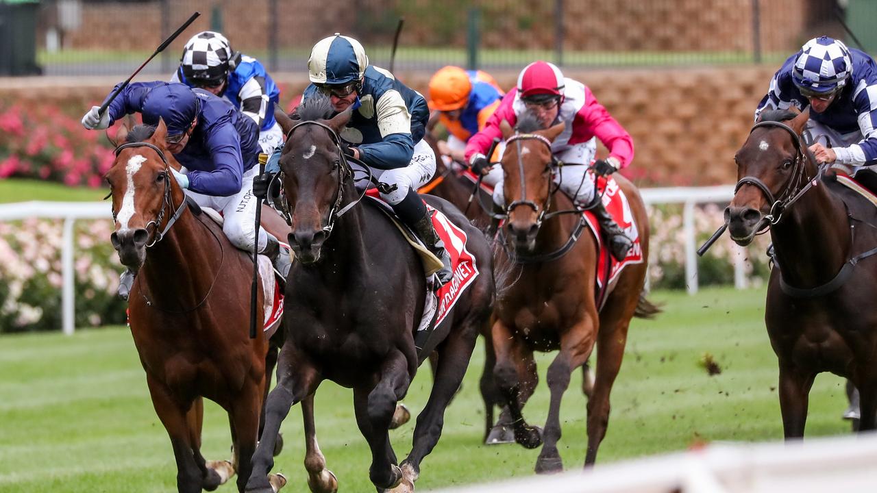 Sir Dragonet (IRE) ridden by Glen Boss wins the Ladbrokes Cox Plate at Moonee Valley Racecourse on October 24, 2020 in Moonee Ponds, Australia. (George Salpigtidis/Racing Photos via Getty Images)